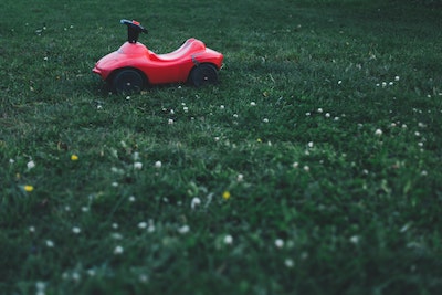 Fixing Brown Spots in the Lawn