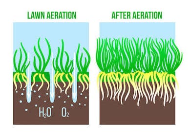 How Do You Keep Grass from Dying in a Drought?