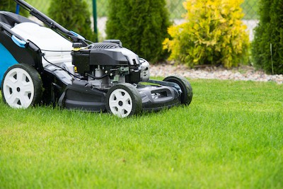 kill crabgrass in yard naturally