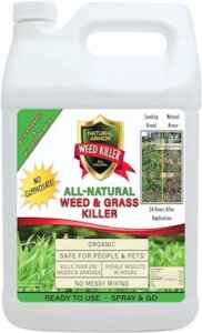 Weed and crabgrass Killer All-Natural 