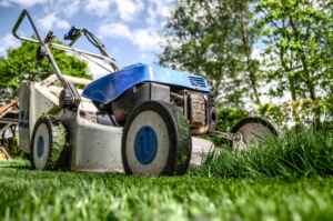 American Lawns Mowing the Lawn with Leaves