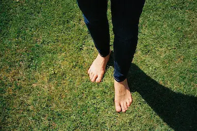 Best Grass for Bare Feet