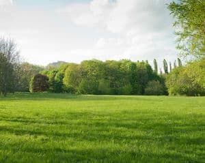 lawn bubbles 