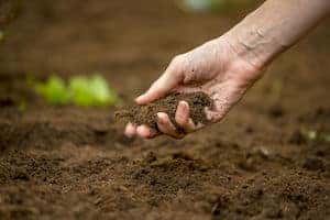 prepare soil in lawn