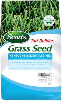 grass seed for clay lawn