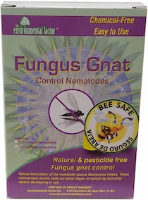 get rid of fungus gnat nematodes