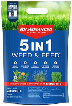 How To Get Rid Of Quackgrass Easy Solutions American Lawns Lawn Tips And Outdoor Living