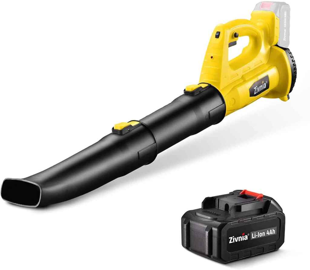 best cordless leaf snow blower