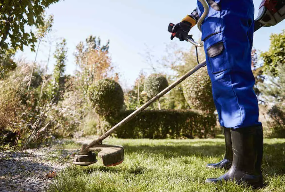 Best Weed Eaters for Tall People 2022 - American Lawns | Lawn Tips and  Outdoor Living