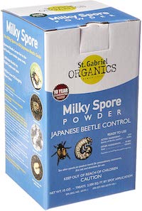 control grubs with milky spore powder