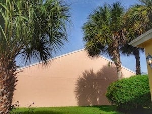 Landscaping With Palm Trees