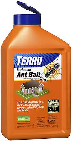 driveway ant bait