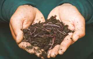 Earthworm FAQs