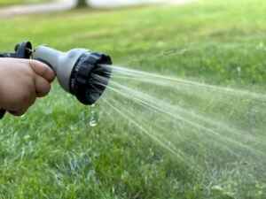 Watering Grass Tips