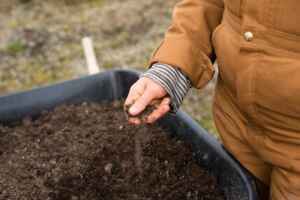 Types of Soil for Lawn Dressing