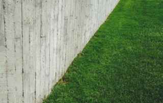 Best Lime for Lawns - Medium Size