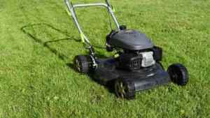 How Long Do I Wait To Mow Lawn After Fertilizing?
