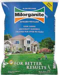 best fertilizer for your lawn in the fall