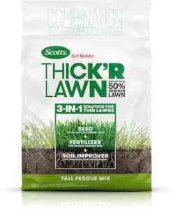 tall fescue grass seed mix