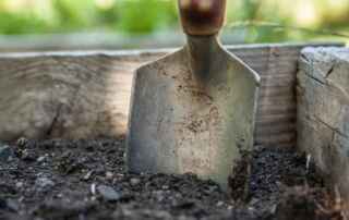 What Is Amended Soil and How Do You Make It