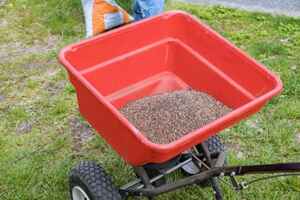 how soon after applying fertilizer can I plant grass seed