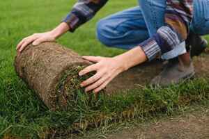 Guide About How To Lay Sod