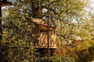 cost to build a backyard treehouse