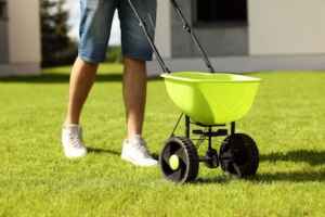 apply fertilizer to wet grass 