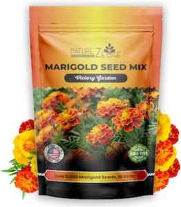 marigold flower seeds yard