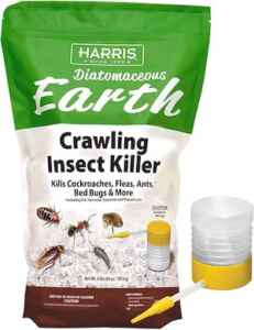 Diatomaceous Earth get rid of carpenter bees