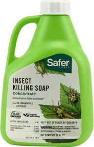 Insecticidal Soap natural way to get rid of army worms