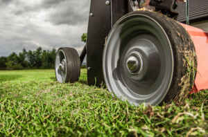 aerate lawn spring fall