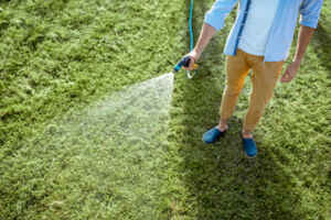when to fertilize new grass