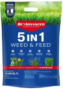 Weed and Feed Fertilizers For Summer