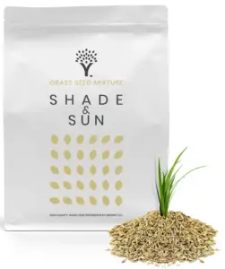 Grass Seed For Sun and Shade
