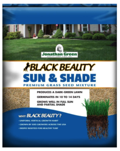 Best Grass Seed For Sun and Shade