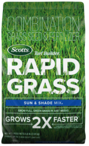 Best Grass Seed For Sun and Shade