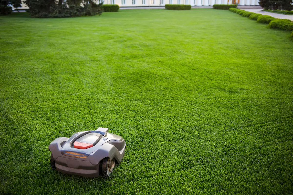 Best Robotic Lawn Mowers For Lawns