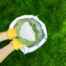 Best Weed and Feed Fertilizers For Summer