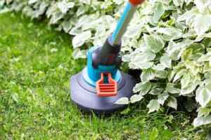 Best Cordless Edgers For Lawns