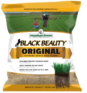fescue grass seed