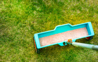 Top Drop Spreaders For Lawns 2022