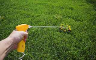 How to Make a Safe and Natural Weed Killer