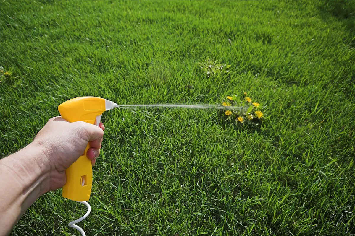 How to Make a Safe and Natural Weed Killer