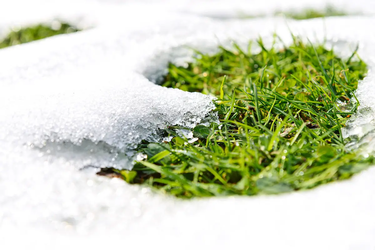 What Can You Do For Your Lawn in the Winter to Help it Thrive in the Summer