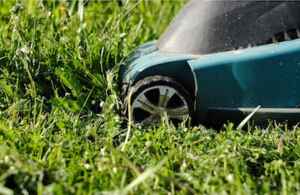 treat lawn disease mowing