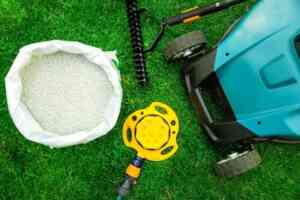 Lawn Care Products For Pets