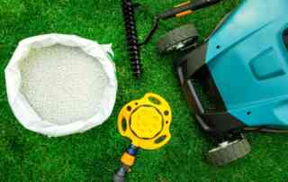 Best Lawn Care Products For Pets