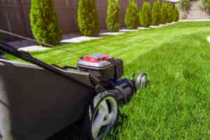 lawn mower best places