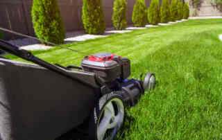Where Are The Best Places To Buy A Lawn Mower